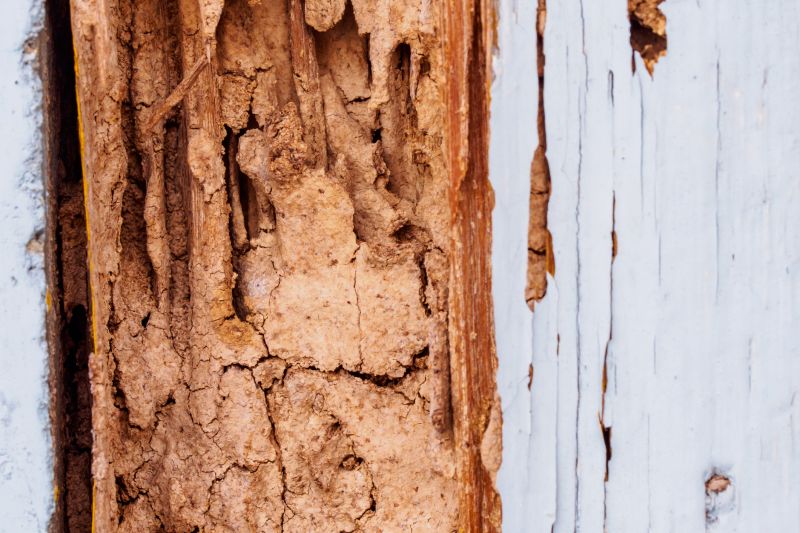 Dry Rot Repair in Roswell, GA