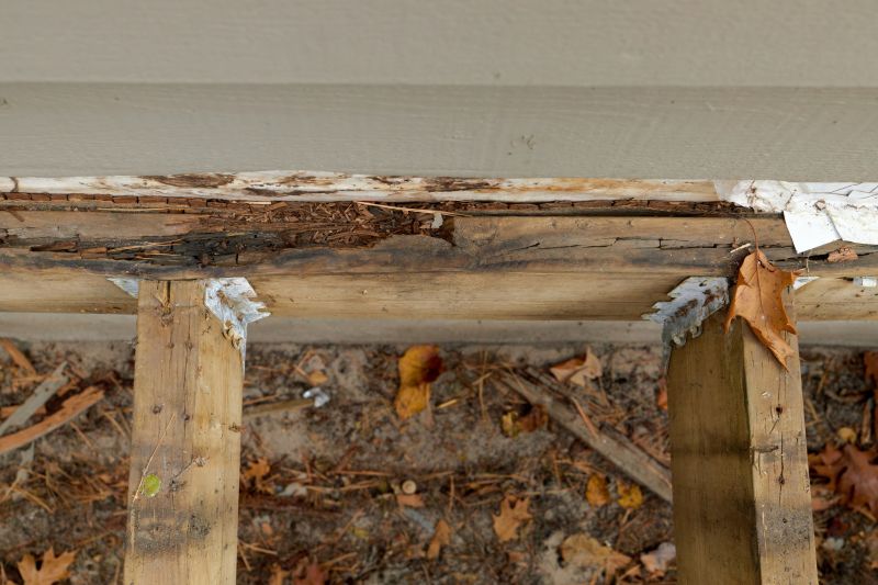 Wood Rot Repair in Conroe, TX