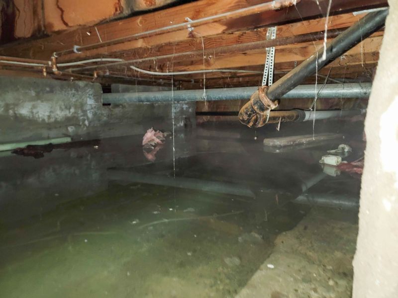 Basement Restoration Service in Scottsdale, AZ