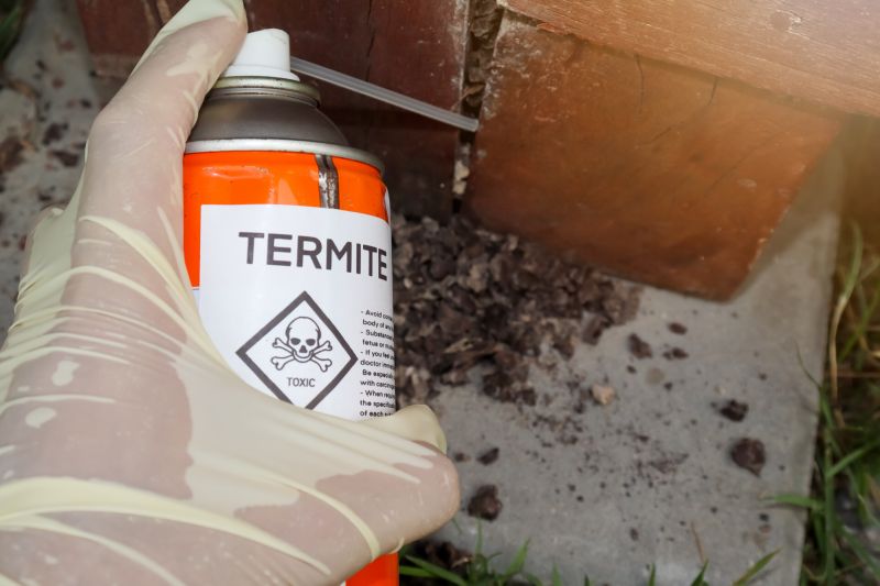 Termite Damage Repair Service