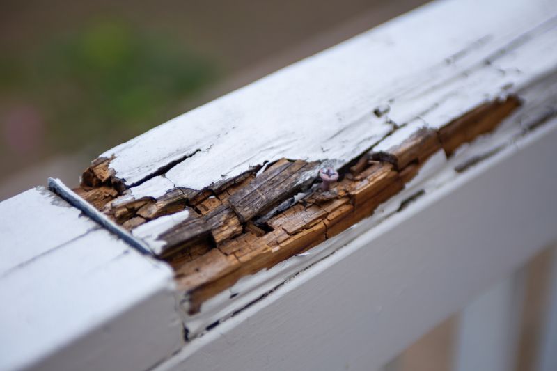 Decay Repair Service in Longmont, CO