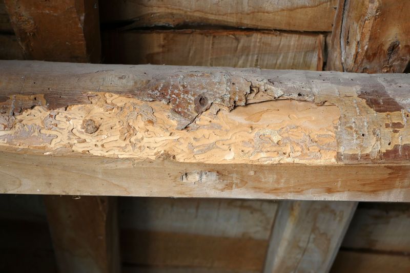 Decay Repair Service in Roswell, GA