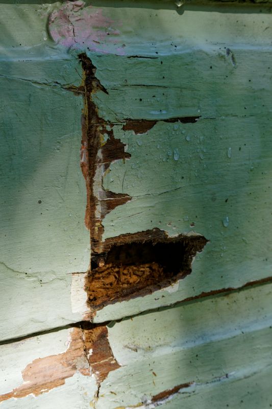 Decayed Wood Replacement in Denver, CO