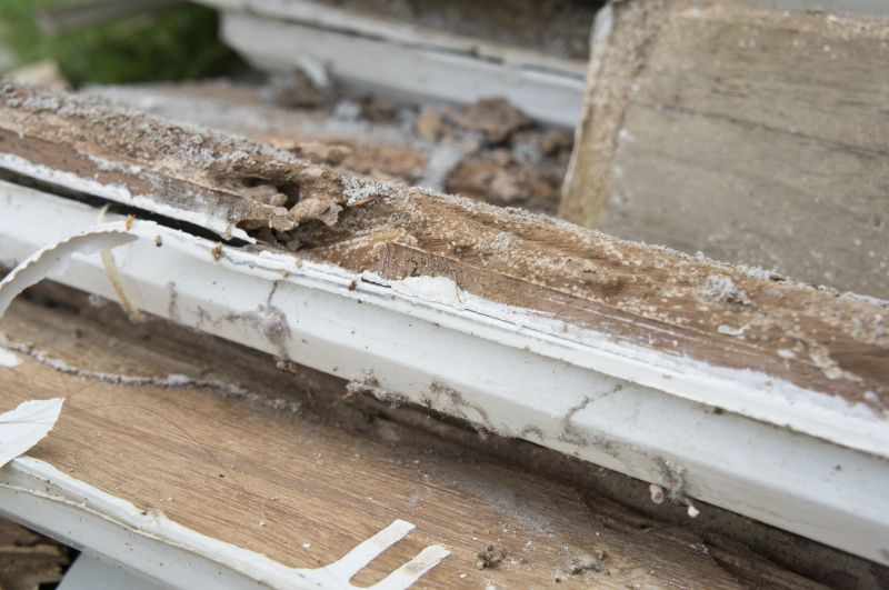 Dry Rot Repair detail