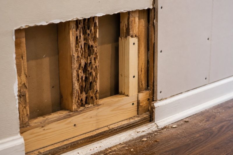 Pest Damage Repair in Kansas City, KS
