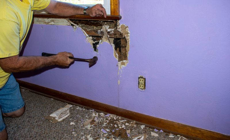 Pest Damage Repair in Wilmington, NC