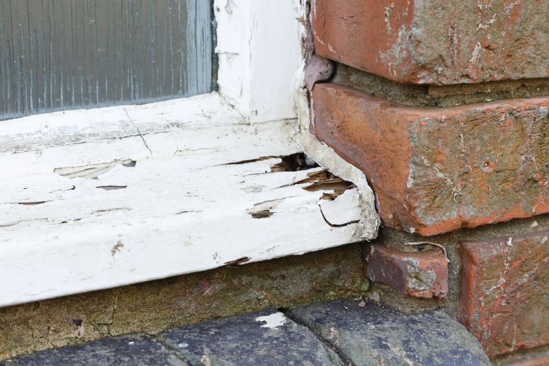 Rot Repair Service in Longmont, CO
