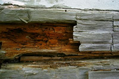 Rotten Wood Repair in Boulder, CO
