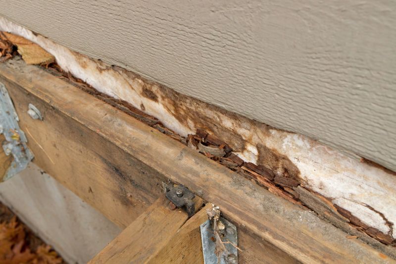 Rotten Wood Repair in Littleton, CO