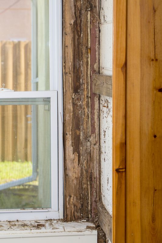 Termite Damage Restoration in Olathe, KS