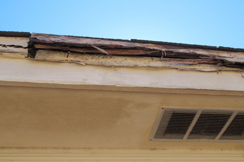 Termite Damage Restoration in Roswell, GA