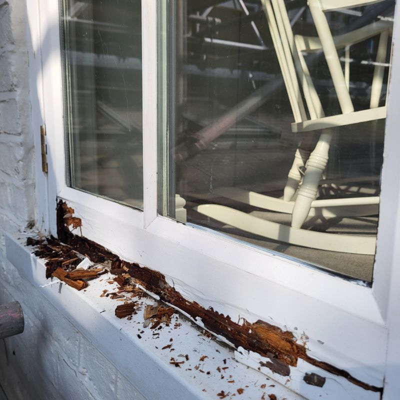Window Rot Repair in Kansas City, KS