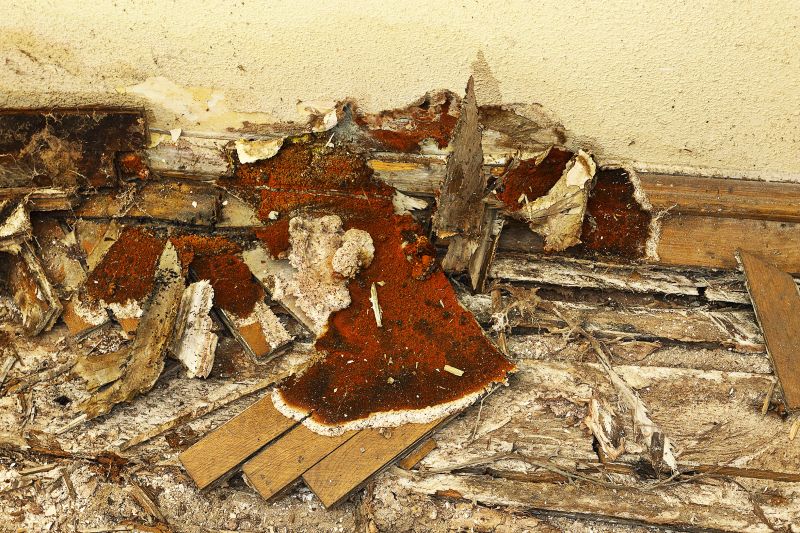 Wood Decay Repair in Indianapolis, IN