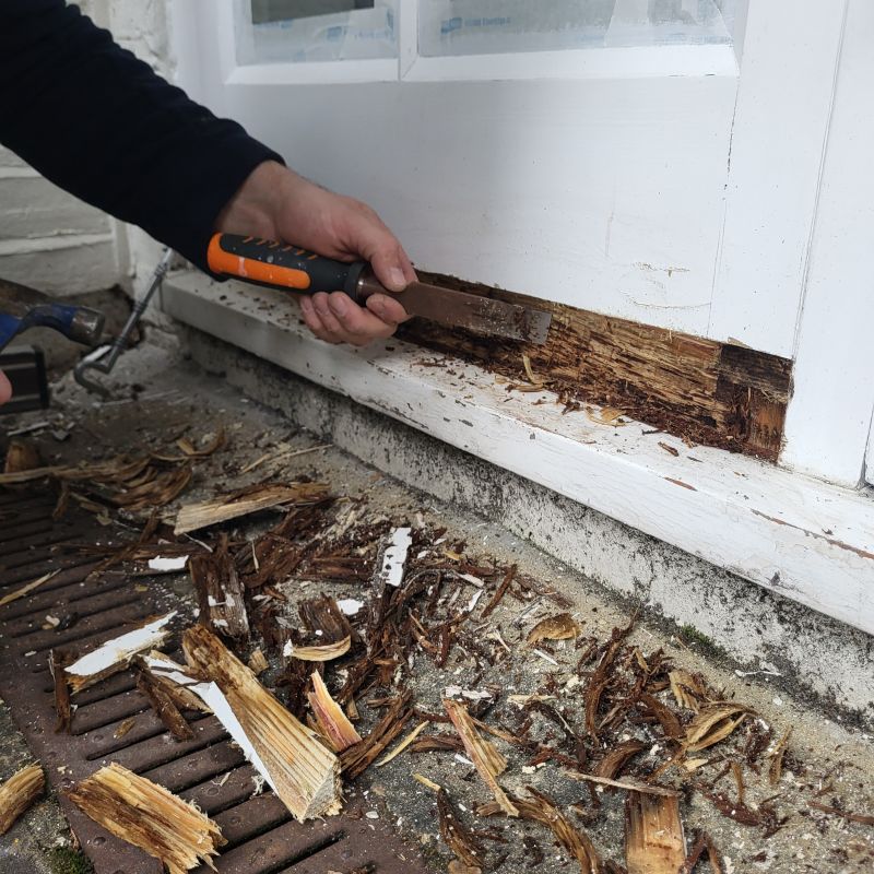 Wood Rot Removal in Longmont, CO