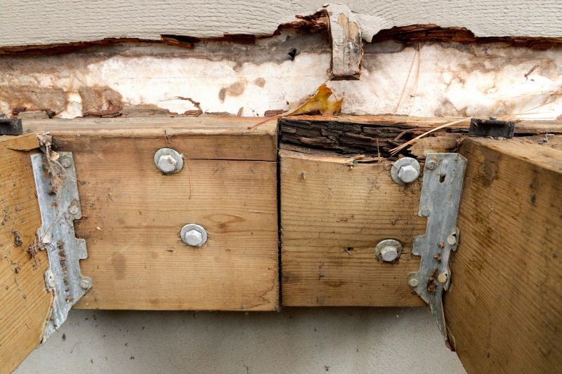 Wood Rot Repair